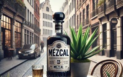Waarom zijn we verliefd op Mezcal?