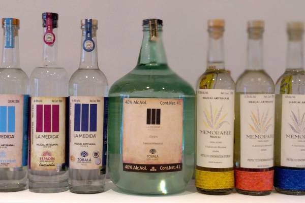 mezcales portada